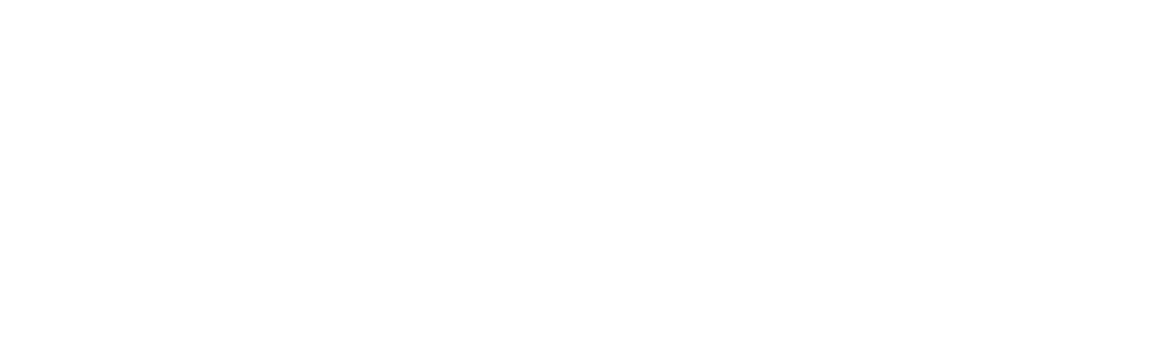 Caleb Security Services